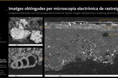 Analyses obtenues par microscopie électronique à balayage. Photo : MMB. 