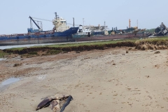 Bangladesh-2024-NGO-SBP-5