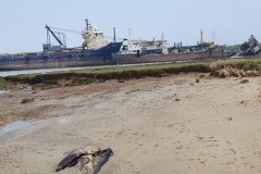 Bangladesh-2024-NGO-SBP-5