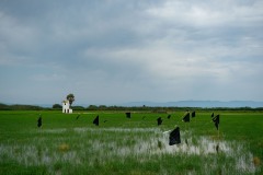 BOUDDHA_Coetera_3