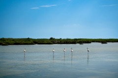 Paysage de Bouddha 2