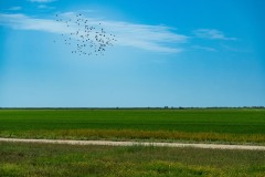 BOUDDHA_Paysage_4