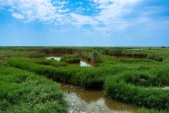 BUDA_Paisatge_Mirador