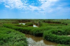 BUDA_Paisatge_Mirador