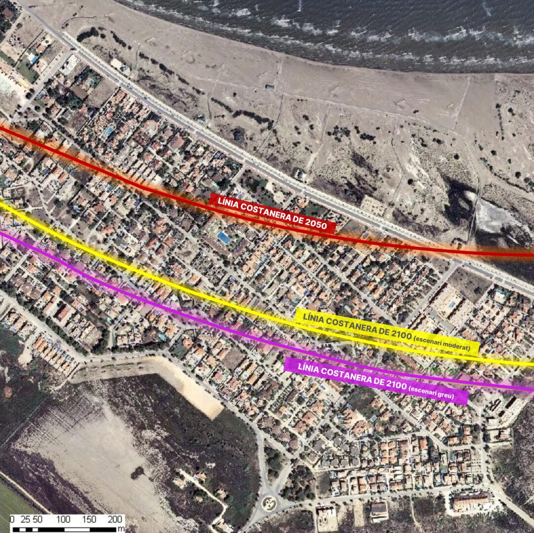 Mapa de l'Institut Cartogràfic i Geològic de Catalunya amb tres línies que representen els escenaris de regressió i la posició estimada de la línia costanera de Riumar pels anys 2050 (roig) i 2100 (groc, escenari moderat; lila, escenari greu). Foto: Institut Cartogràfic i Geològic de Catalunya. ARGO 15. Museu Maritim de Catalunya.
